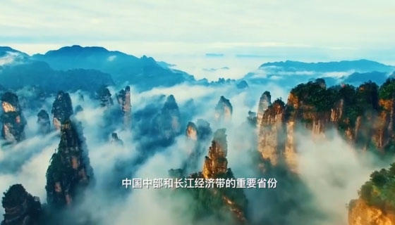  張家界被外交部全球推介，桑植白茶亮相冷餐招待會(huì)！ 