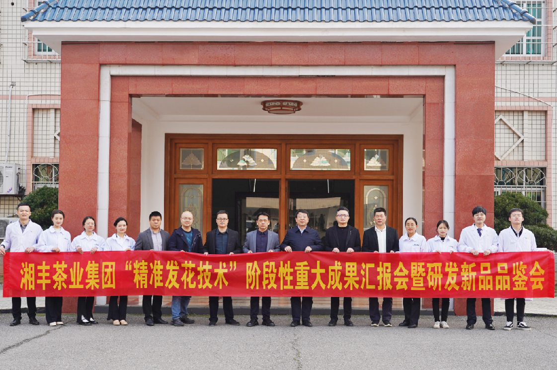 湘豐茶業(yè)集團(tuán)“精準(zhǔn)發(fā)花技術(shù)”取得重大階段性成果！