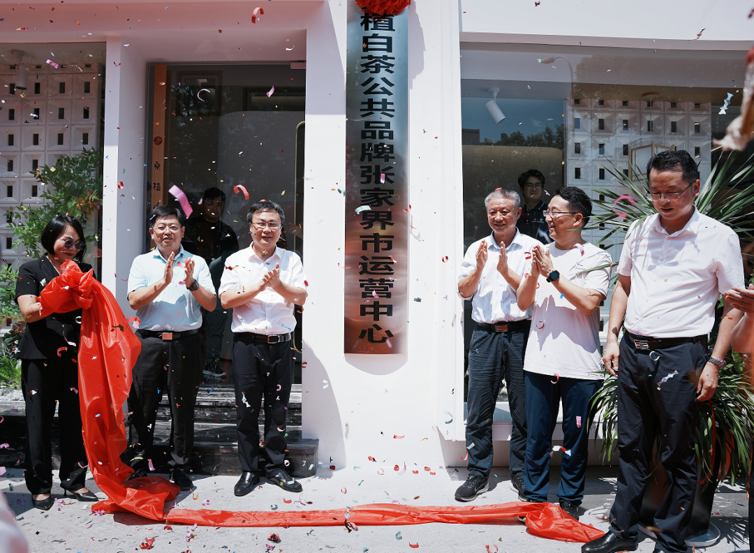 喜報(bào)！張家界白莓旗艦店盛裝開業(yè)暨桑植白茶公共品牌張家界市運(yùn)營中心隆重揭牌！