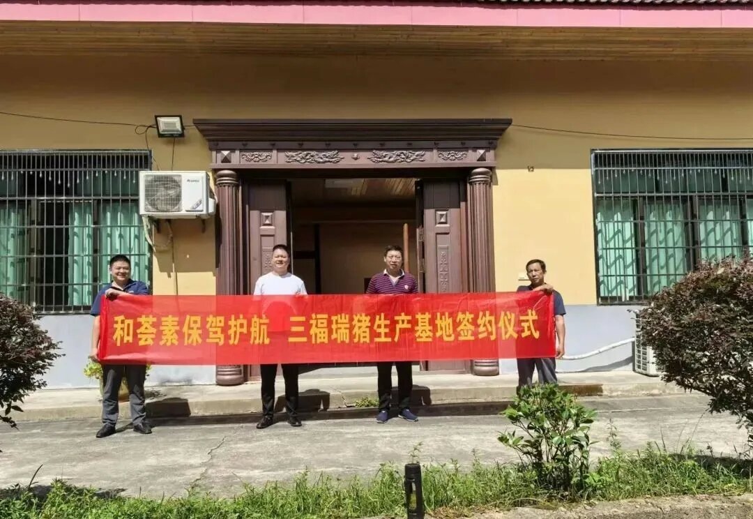 湘豐集團攜手新品質，共筑養(yǎng)殖新篇章